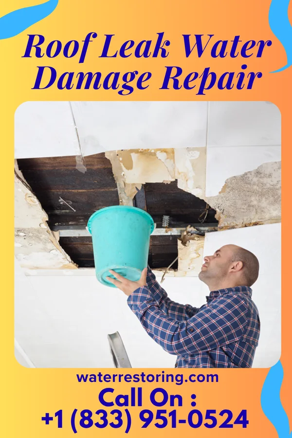 Roof Leak Water Damage Repair in Newkirk, OK