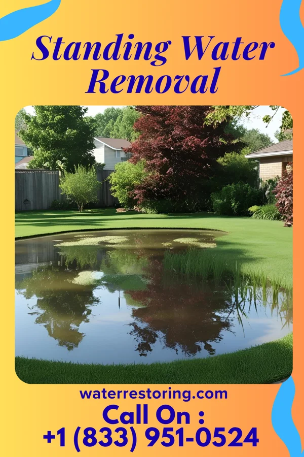 Standing Water Removal in Newkirk, OK